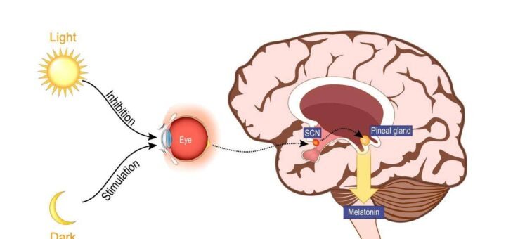 circadian rhythm disorder symptoms