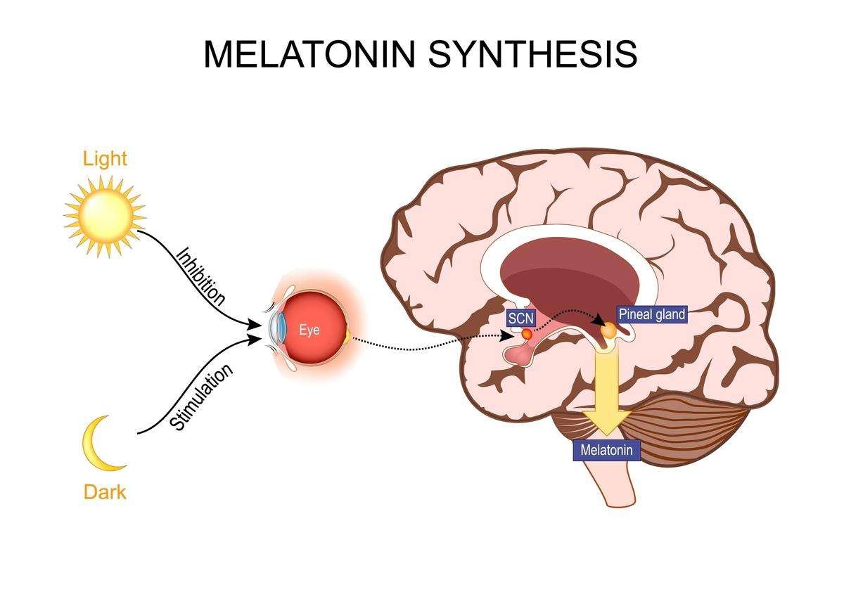 circadian rhythm disorder symptoms