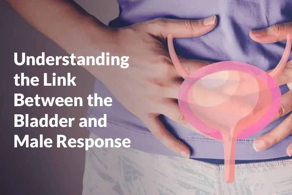 Understanding the Link Between the Bladder and Male Response