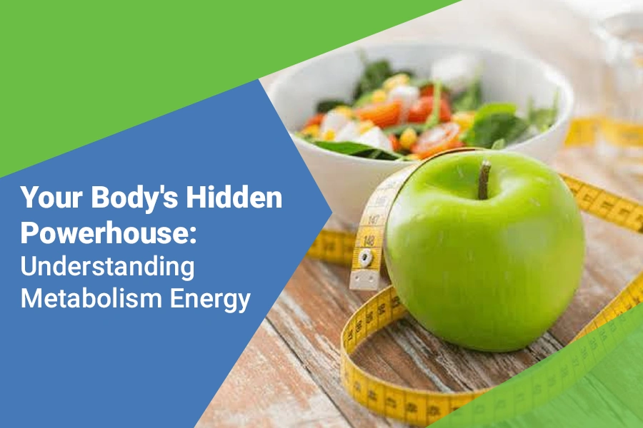 Your Body’s Hidden Powerhouse: Understanding Metabolism Energy