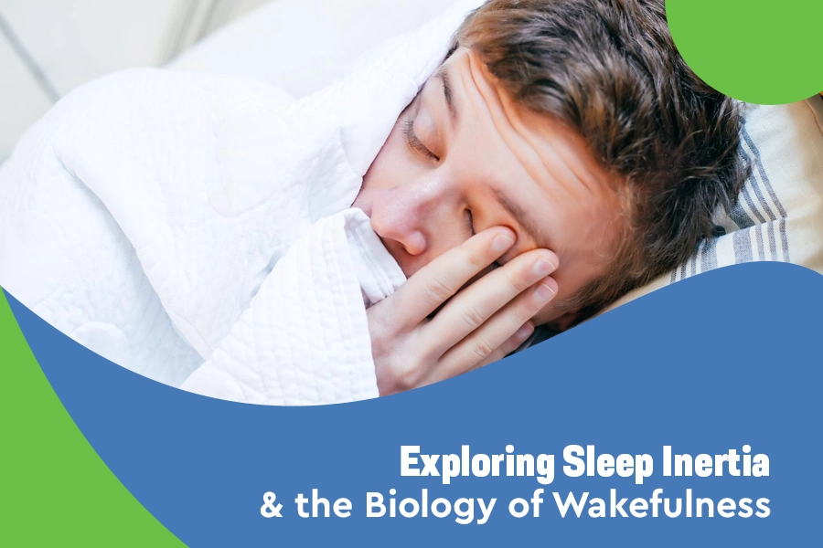 Exploring Sleep Inertia and the Biology of Wakefulness