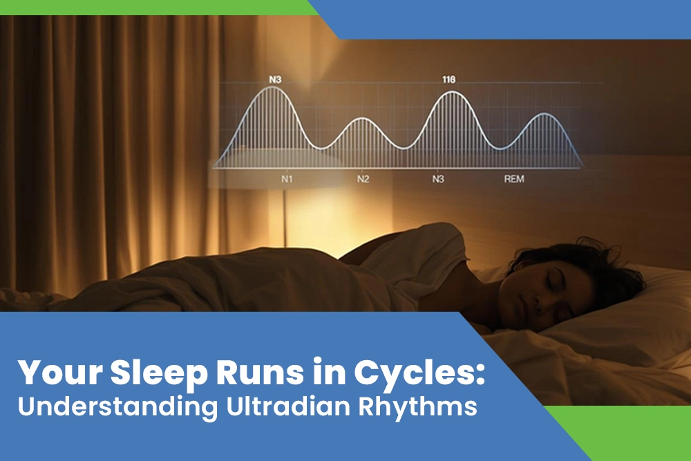 Your Sleep Runs in Cycles: Understanding Ultradian Rhythms